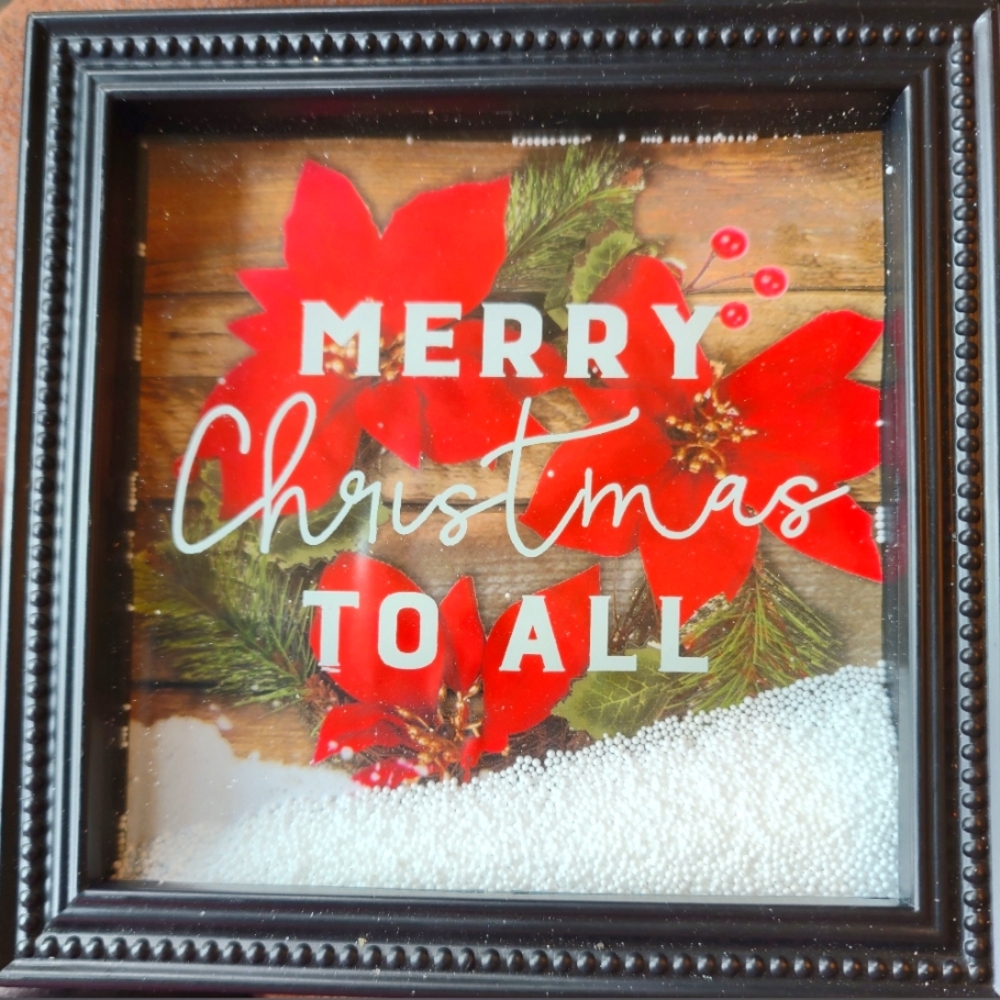 7" by7" frame. With poinsettias. And snow.